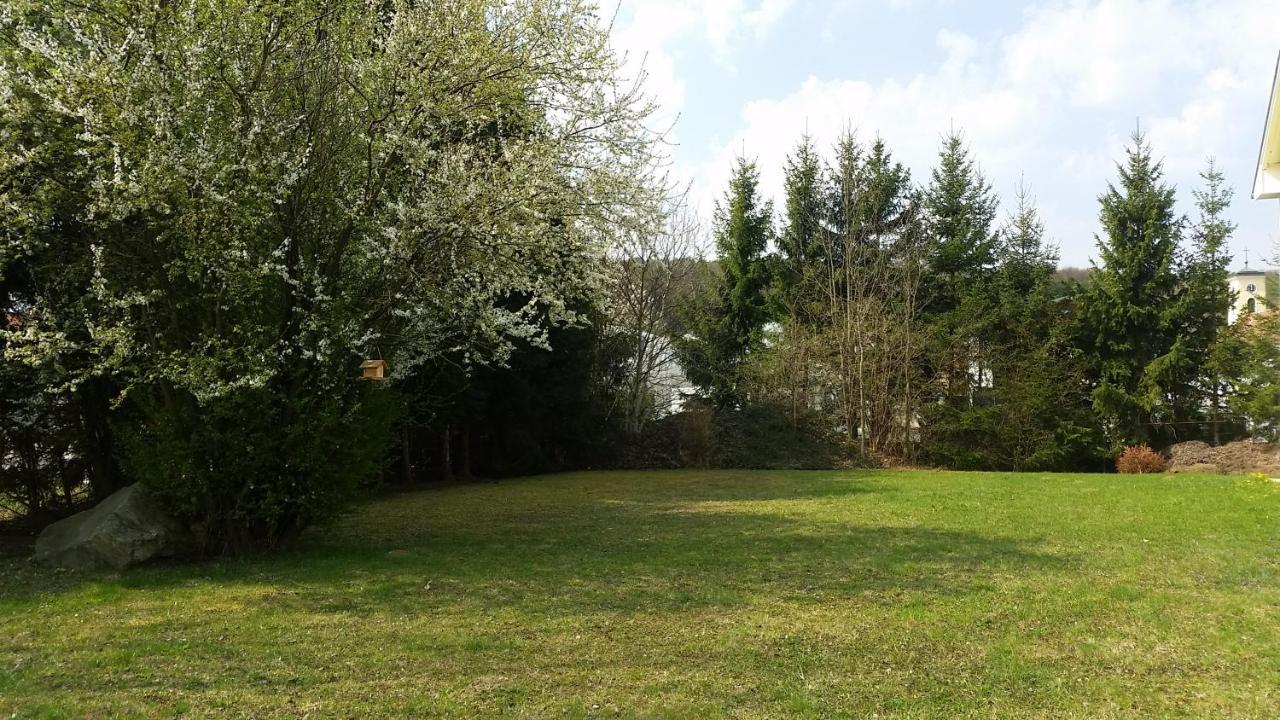 Lions Apartments - Erholung Und Vergnuegen In Bad Tatzmannsdorf Jormannsdorf Экстерьер фото